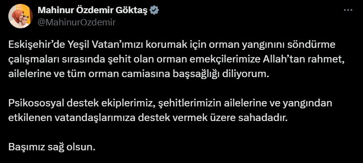 Ekran Görüntüsü 2025 07 23 222750