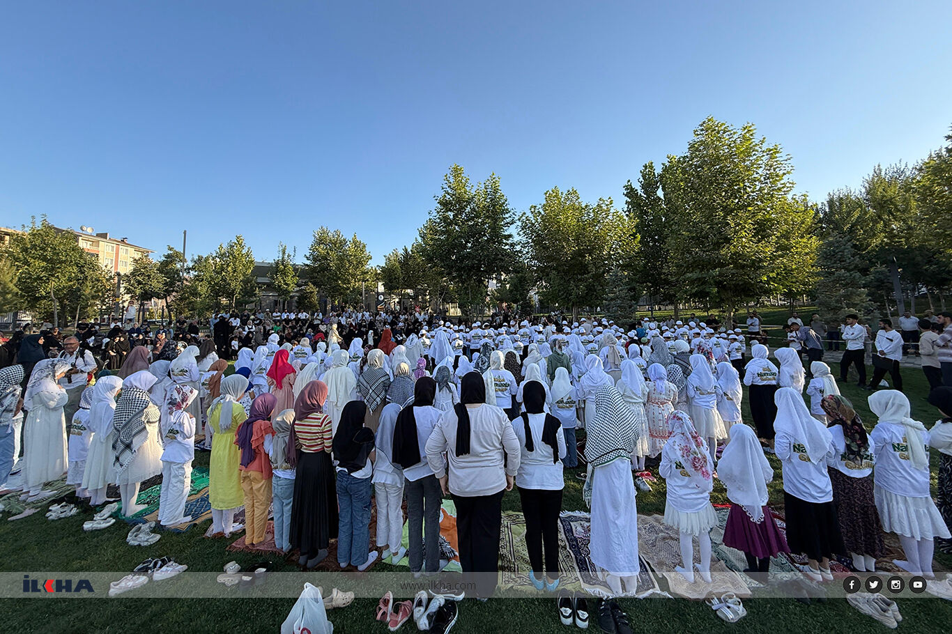 639F5654 C5D6 49Ab 9499 Cc33Cd8Dde3A