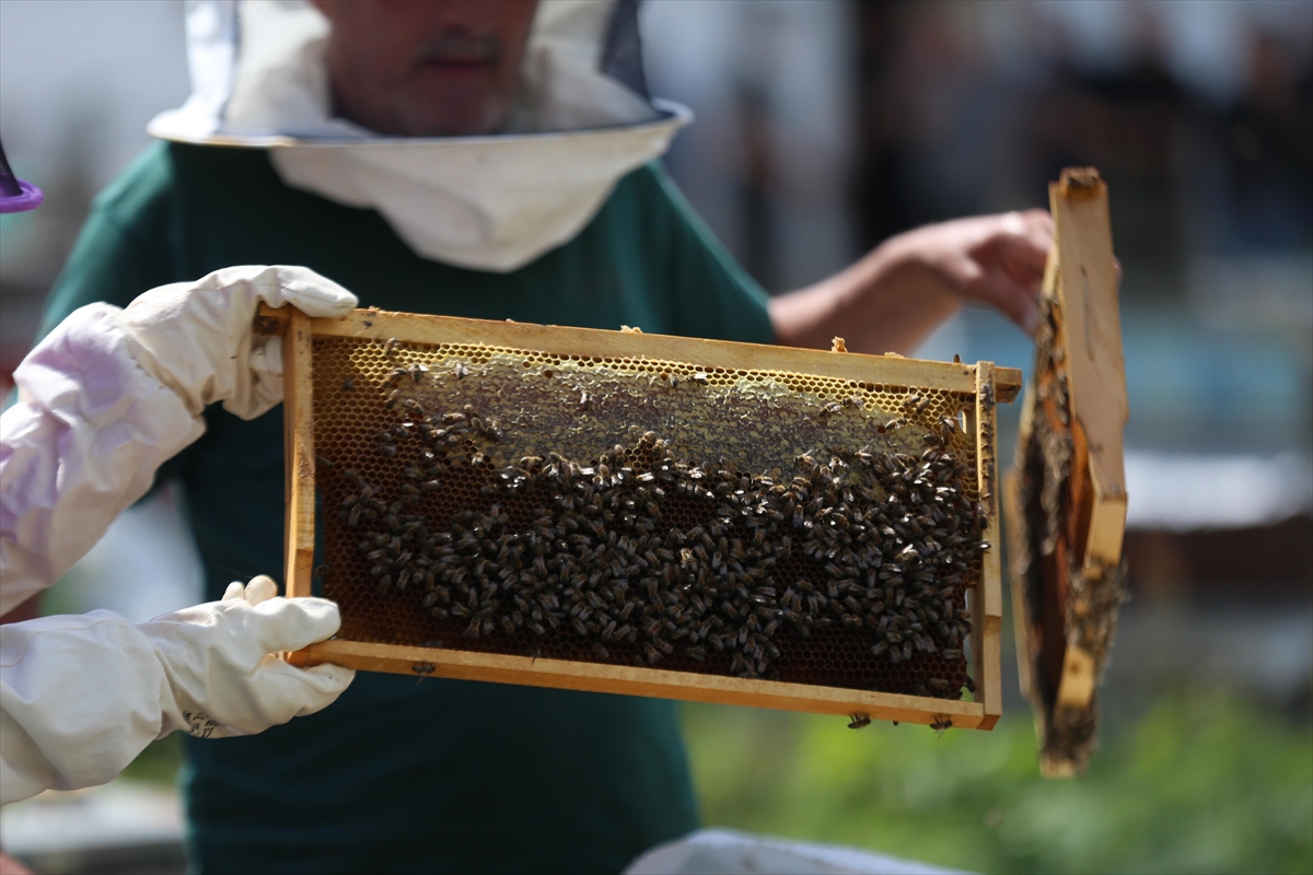 A A 20250803 38736332 38736325 D U N Y A C A U N L U A N Z E R B A L I N I N U R E T I M I I C I N M U H U R L E N E N P E T E K L E R D E N N U M U N E A L I N D I