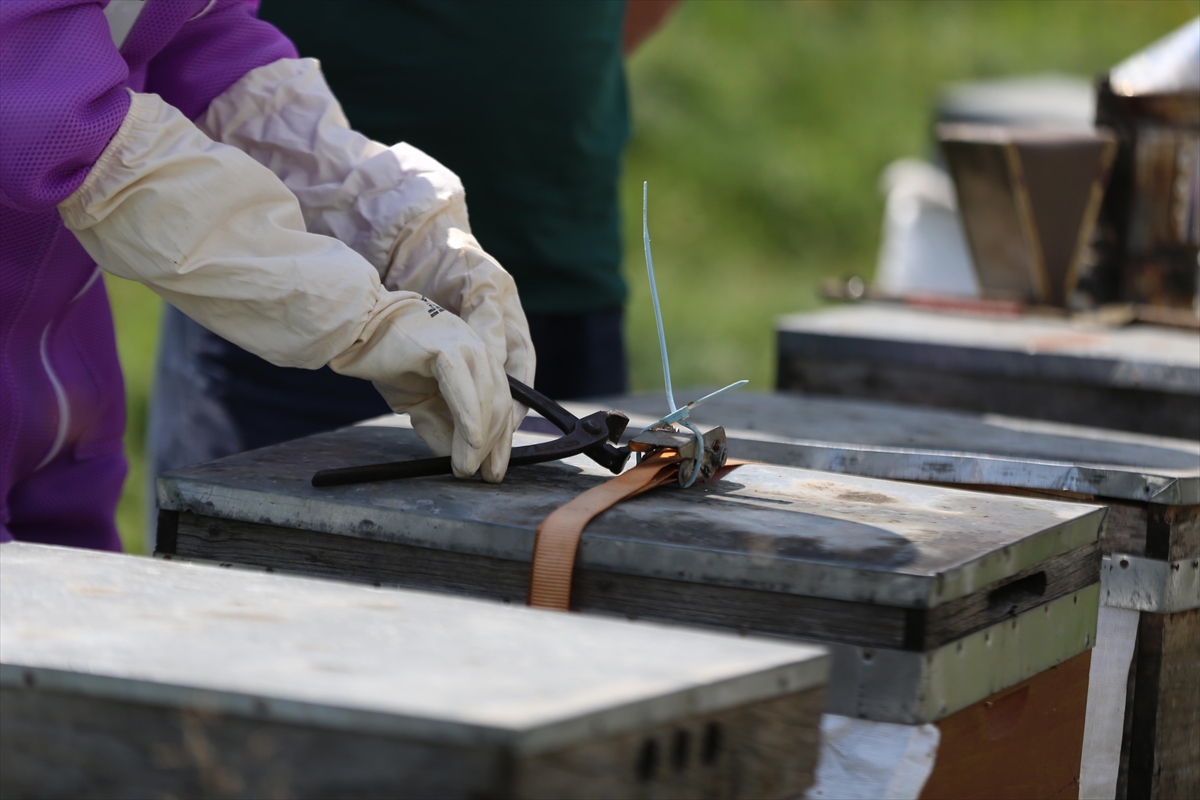 A A 20250803 38736332 38736327 D U N Y A C A U N L U A N Z E R B A L I N I N U R E T I M I I C I N M U H U R L E N E N P E T E K L E R D E N N U M U N E A L I N D I