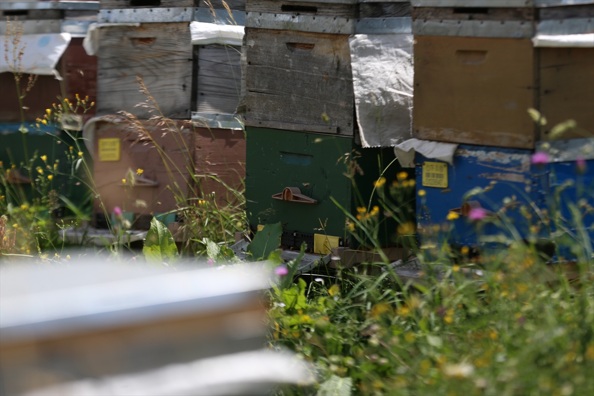 A A 20250803 38736332 38736330 D U N Y A C A U N L U A N Z E R B A L I N I N U R E T I M I I C I N M U H U R L E N E N P E T E K L E R D E N N U M U N E A L I N D I