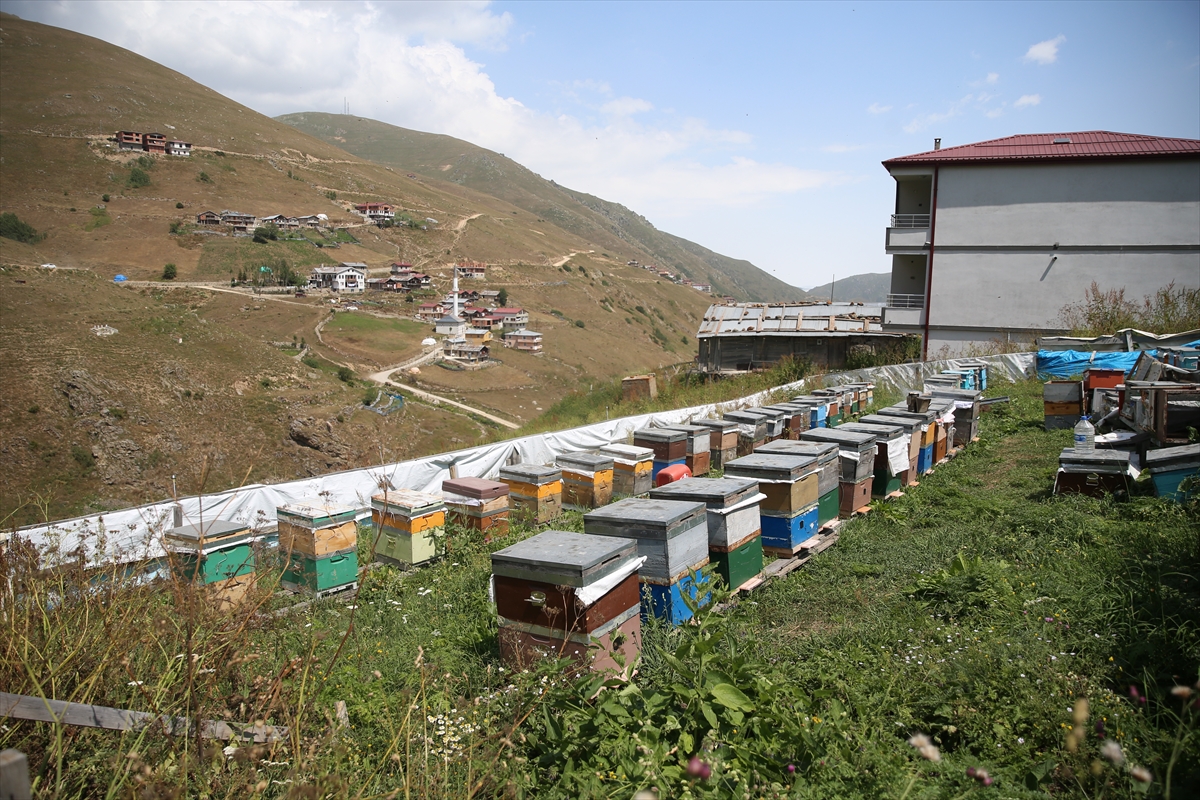 A A 20250803 38736332 38736331 D U N Y A C A U N L U A N Z E R B A L I N I N U R E T I M I I C I N M U H U R L E N E N P E T E K L E R D E N N U M U N E A L I N D I