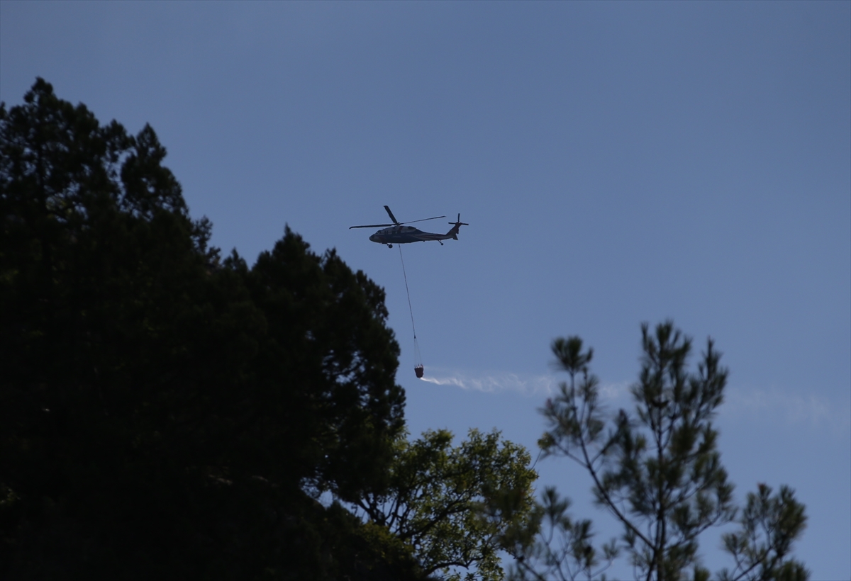 A A 20250810 38789259 38789253 S I N O P T A C I K A N O R M A N Y A N G I N I N A M U D A H A L E E D I L I Y O R