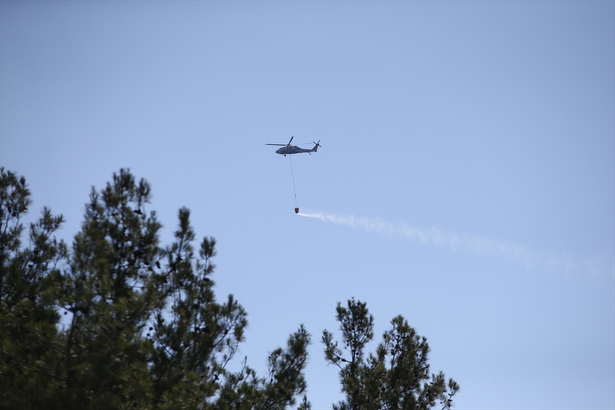 A A 20250810 38789259 38789254 S I N O P T A C I K A N O R M A N Y A N G I N I N A M U D A H A L E E D I L I Y O R