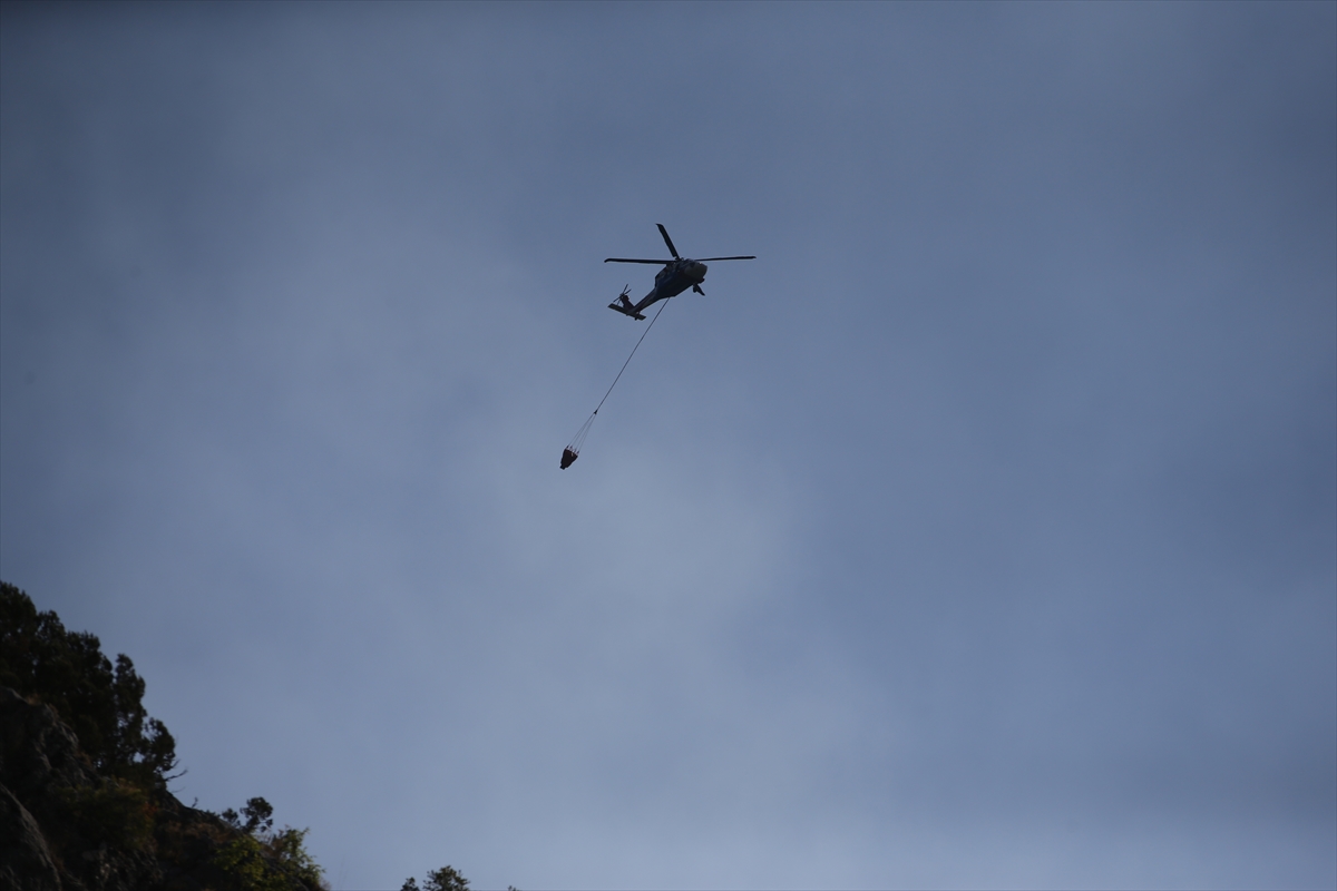 A A 20250810 38789259 38789255 S I N O P T A C I K A N O R M A N Y A N G I N I N A M U D A H A L E E D I L I Y O R