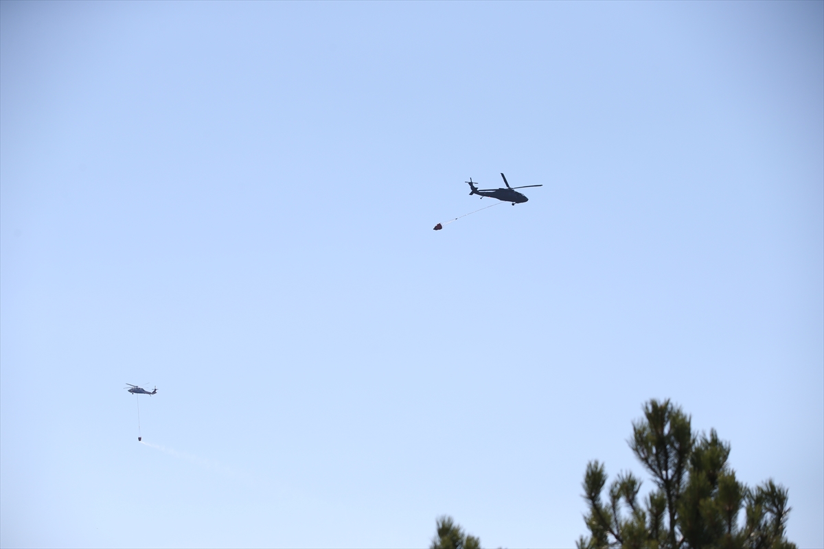 A A 20250810 38789259 38789256 S I N O P T A C I K A N O R M A N Y A N G I N I N A M U D A H A L E E D I L I Y O R