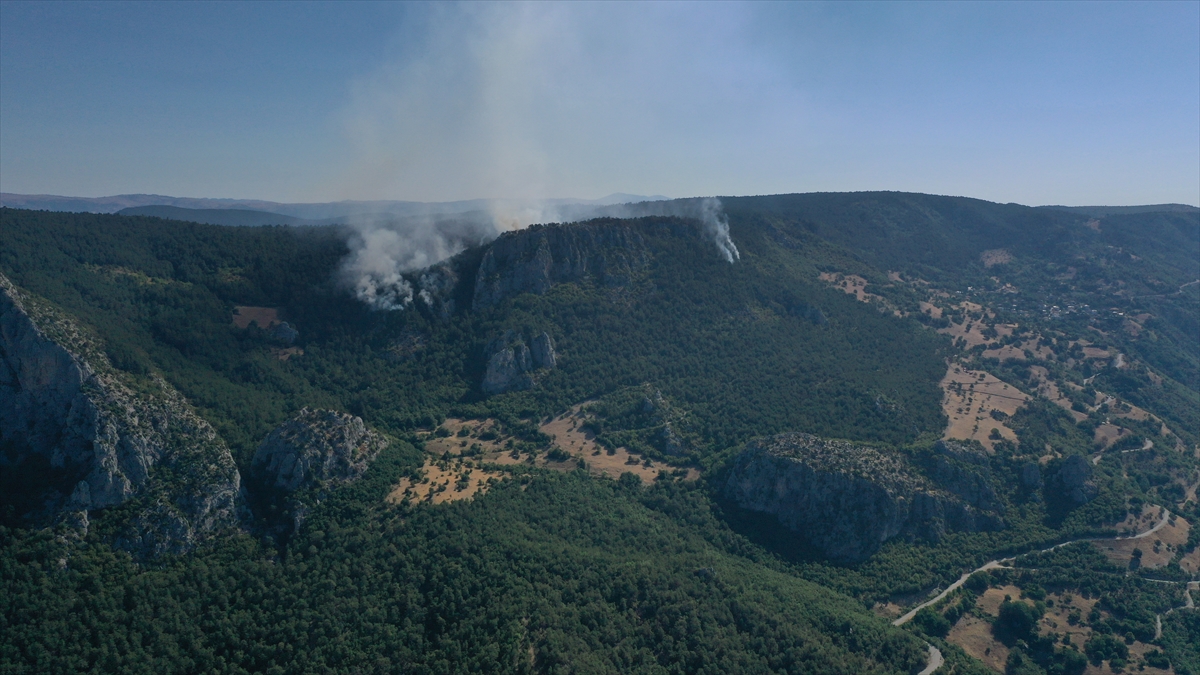 A A 20250810 38789259 38789258 S I N O P T A C I K A N O R M A N Y A N G I N I N A M U D A H A L E E D I L I Y O R