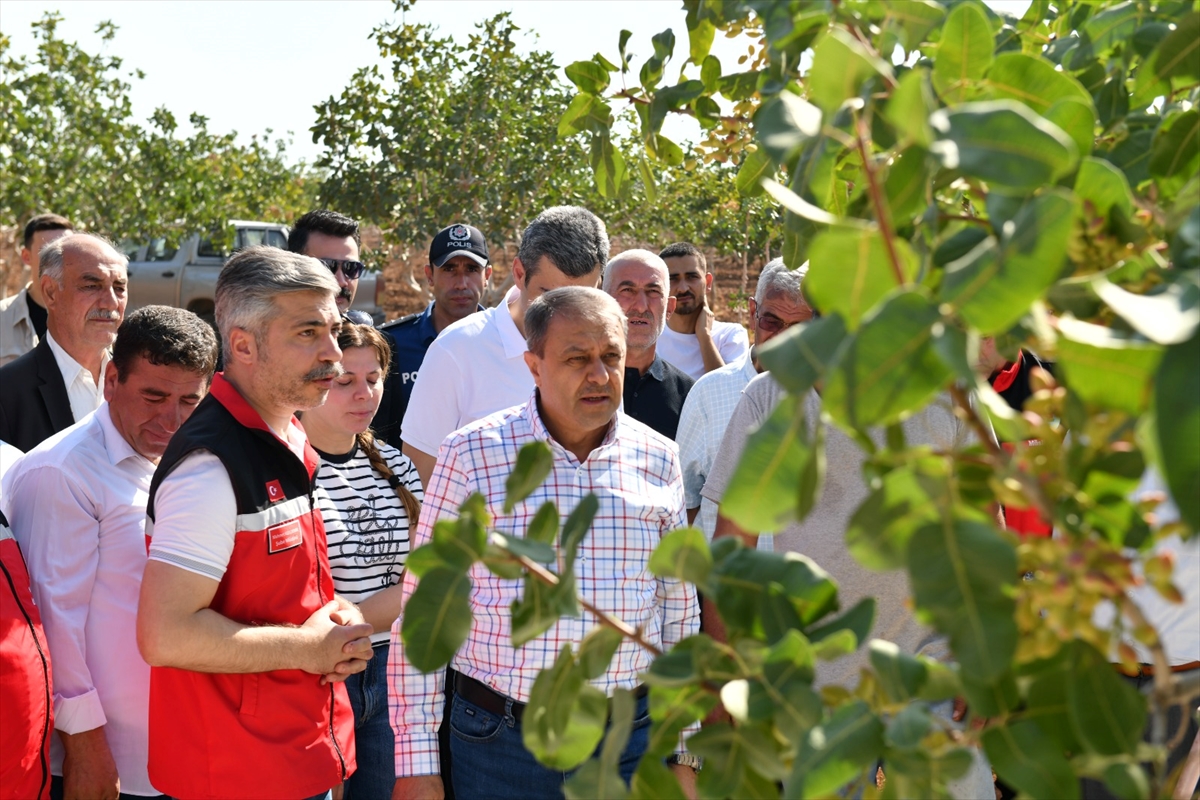 A A 20250810 38791551 38791547 S A N L I U R F A V A L I S I S I L D A K A N T E P F I S T I G I H A S A D I N A K A T I L D I