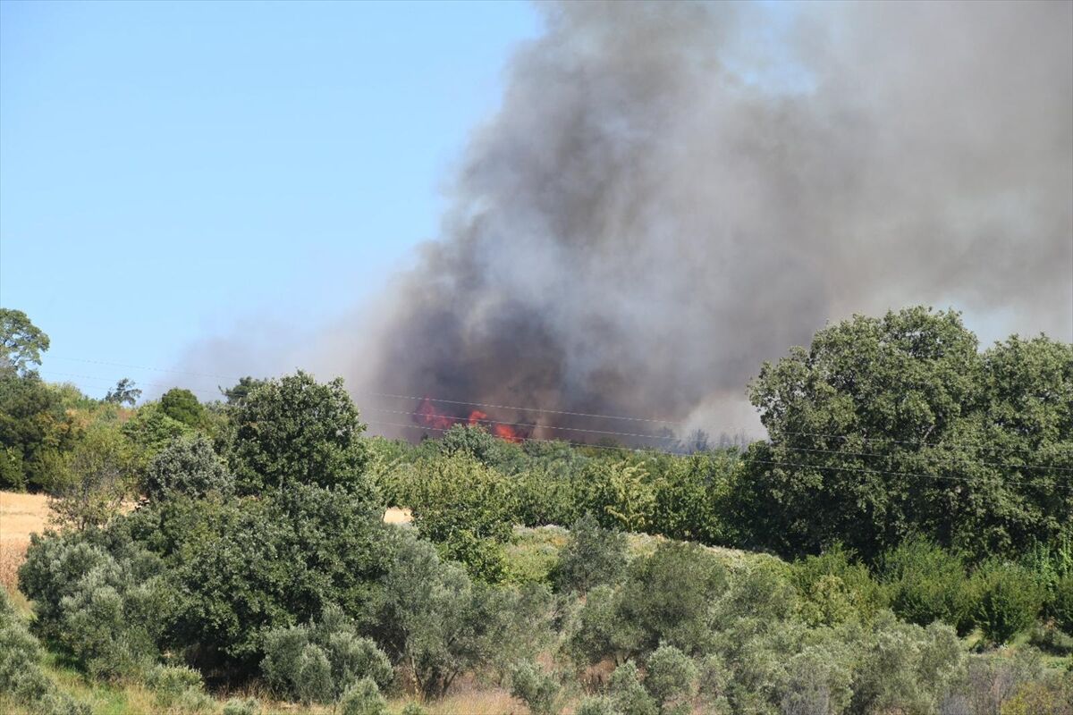 A A 20250810 38792745 38792742 C A N A K K A L E D E T A R I M A R A Z I S I N D E C I K A N Y A N G I N A H A V A D A N V E K A R A D A N M U D A H A L E E D I L I Y O R