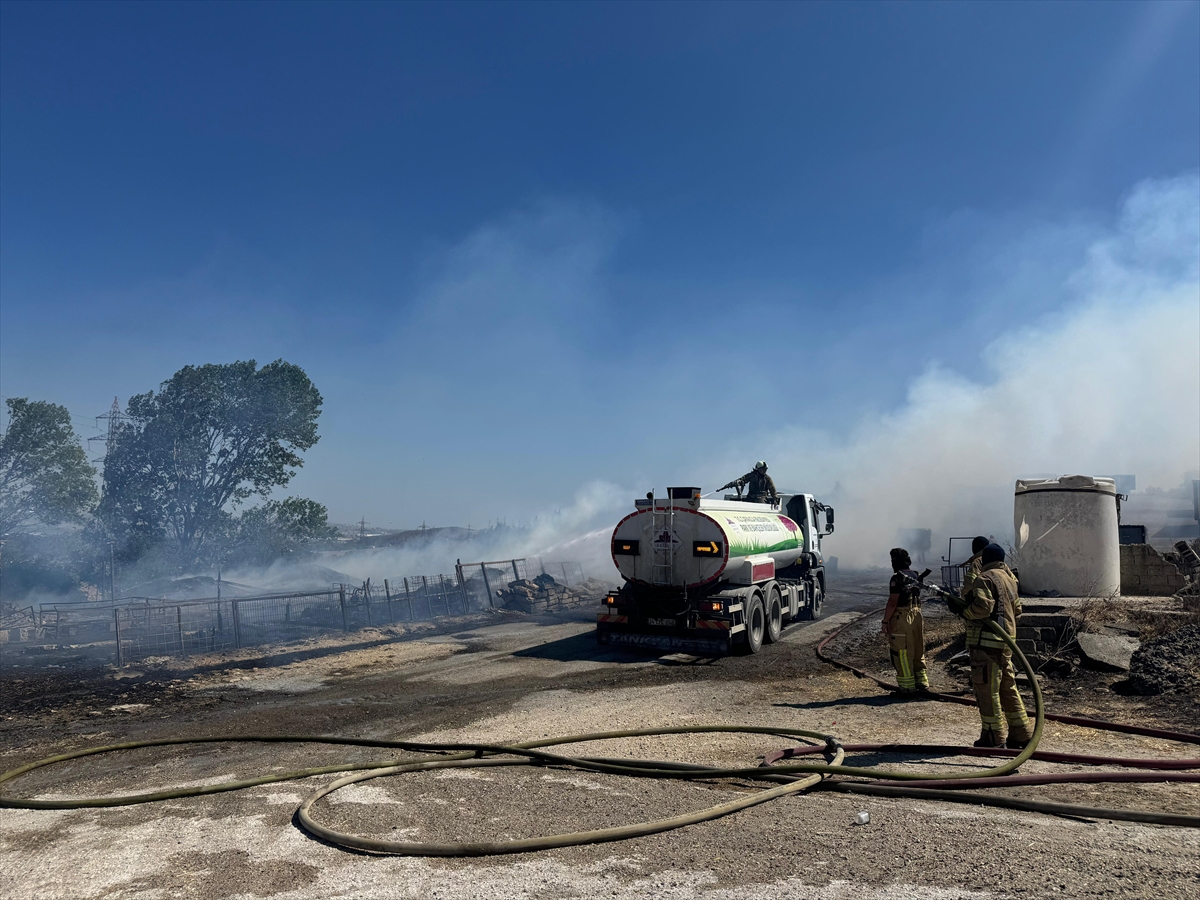 A A 20250811 38801488 38801484 C A T A L C A D A 2 B O L G E D E C I K A N Y A N G I N A M U D A H A L E E D I L I Y O R