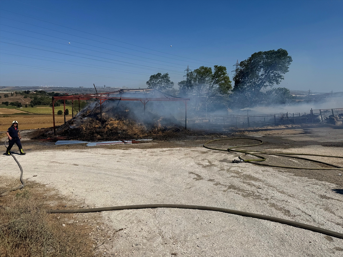 A A 20250811 38801488 38801485 C A T A L C A D A 2 B O L G E D E C I K A N Y A N G I N A M U D A H A L E E D I L I Y O R