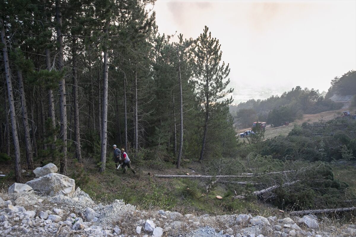 A A 20250811 38802317 38802295 B O L U D A C I K A N O R M A N Y A N G I N I N A M U D A H A L E E D I L I Y O R