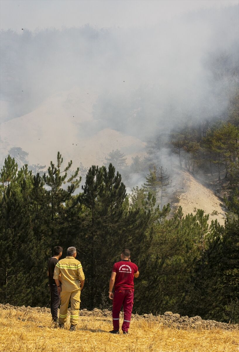 A A 20250811 38802317 38802297 B O L U D A C I K A N O R M A N Y A N G I N I N A M U D A H A L E E D I L I Y O R