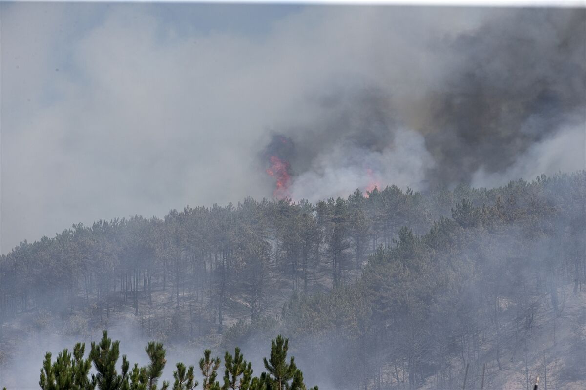 A A 20250811 38802317 38802298 B O L U D A C I K A N O R M A N Y A N G I N I N A M U D A H A L E E D I L I Y O R