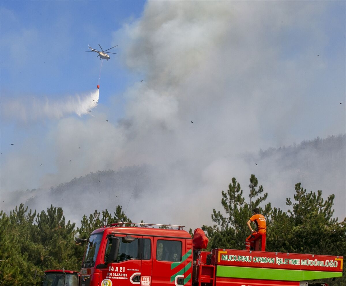 A A 20250811 38802317 38802299 B O L U D A C I K A N O R M A N Y A N G I N I N A M U D A H A L E E D I L I Y O R