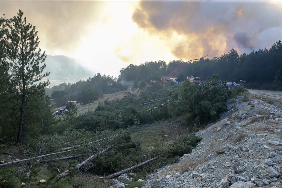 A A 20250811 38802317 38802301 B O L U D A C I K A N O R M A N Y A N G I N I N A M U D A H A L E E D I L I Y O R