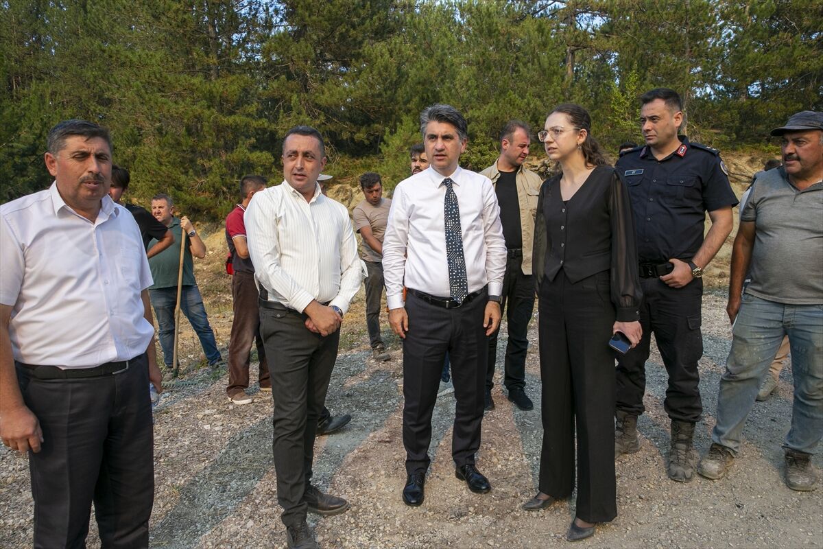 A A 20250811 38802317 38802303 B O L U D A C I K A N O R M A N Y A N G I N I N A M U D A H A L E E D I L I Y O R