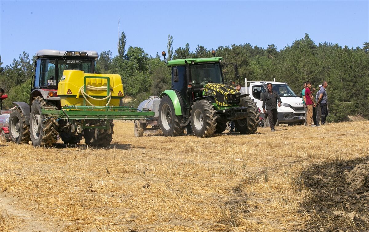 A A 20250811 38802317 38802304 B O L U D A C I K A N O R M A N Y A N G I N I N A M U D A H A L E E D I L I Y O R