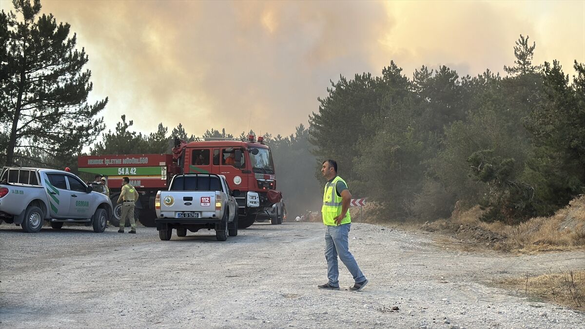 A A 20250811 38802317 38802305 B O L U D A C I K A N O R M A N Y A N G I N I N A M U D A H A L E E D I L I Y O R