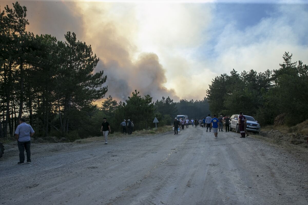 A A 20250811 38802317 38802306 B O L U D A C I K A N O R M A N Y A N G I N I N A M U D A H A L E E D I L I Y O R