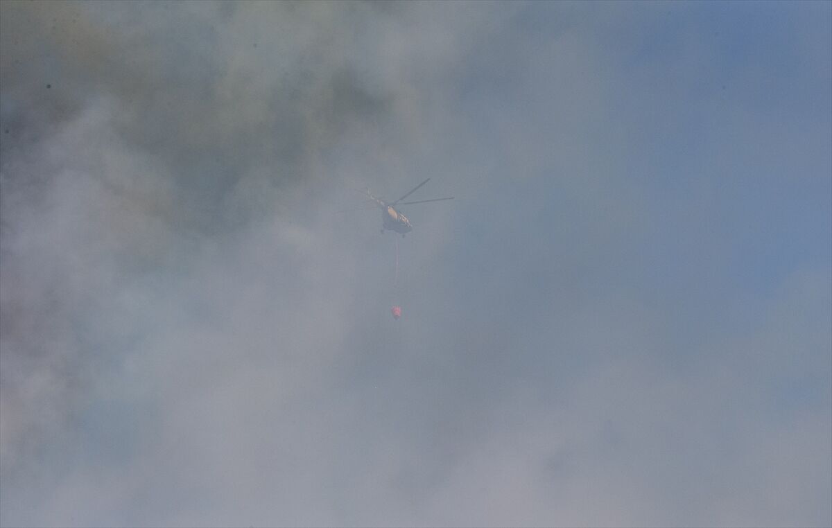 A A 20250811 38802317 38802308 B O L U D A C I K A N O R M A N Y A N G I N I N A M U D A H A L E E D I L I Y O R