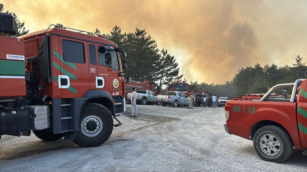 A A 20250811 38802317 38802309 B O L U D A C I K A N O R M A N Y A N G I N I N A M U D A H A L E E D I L I Y O R