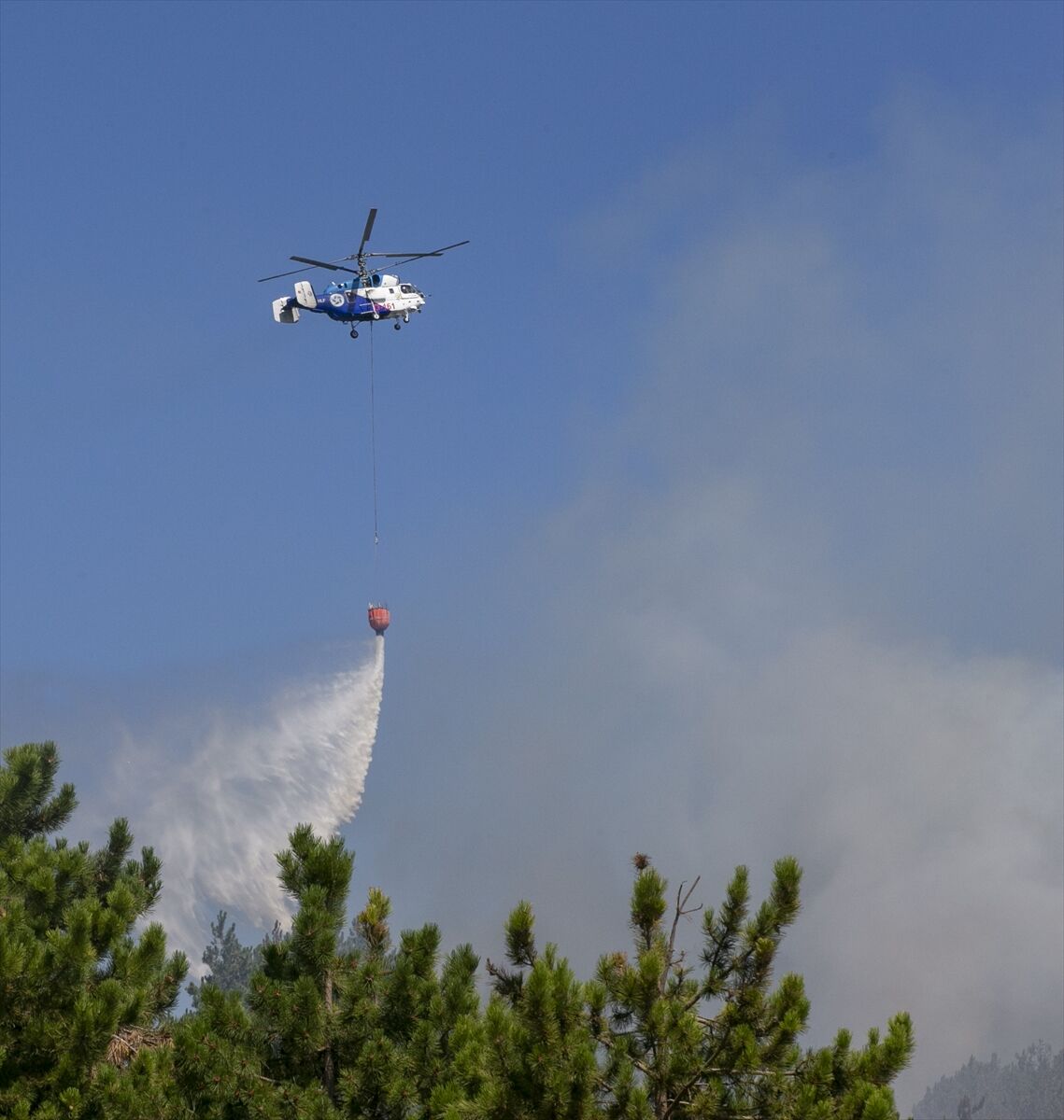 A A 20250811 38802317 38802312 B O L U D A C I K A N O R M A N Y A N G I N I N A M U D A H A L E E D I L I Y O R