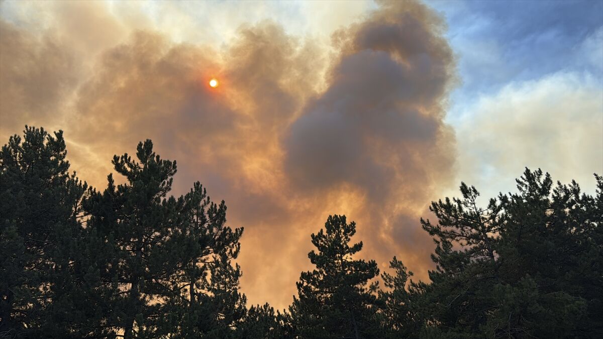 A A 20250811 38802317 38802313 B O L U D A C I K A N O R M A N Y A N G I N I N A M U D A H A L E E D I L I Y O R