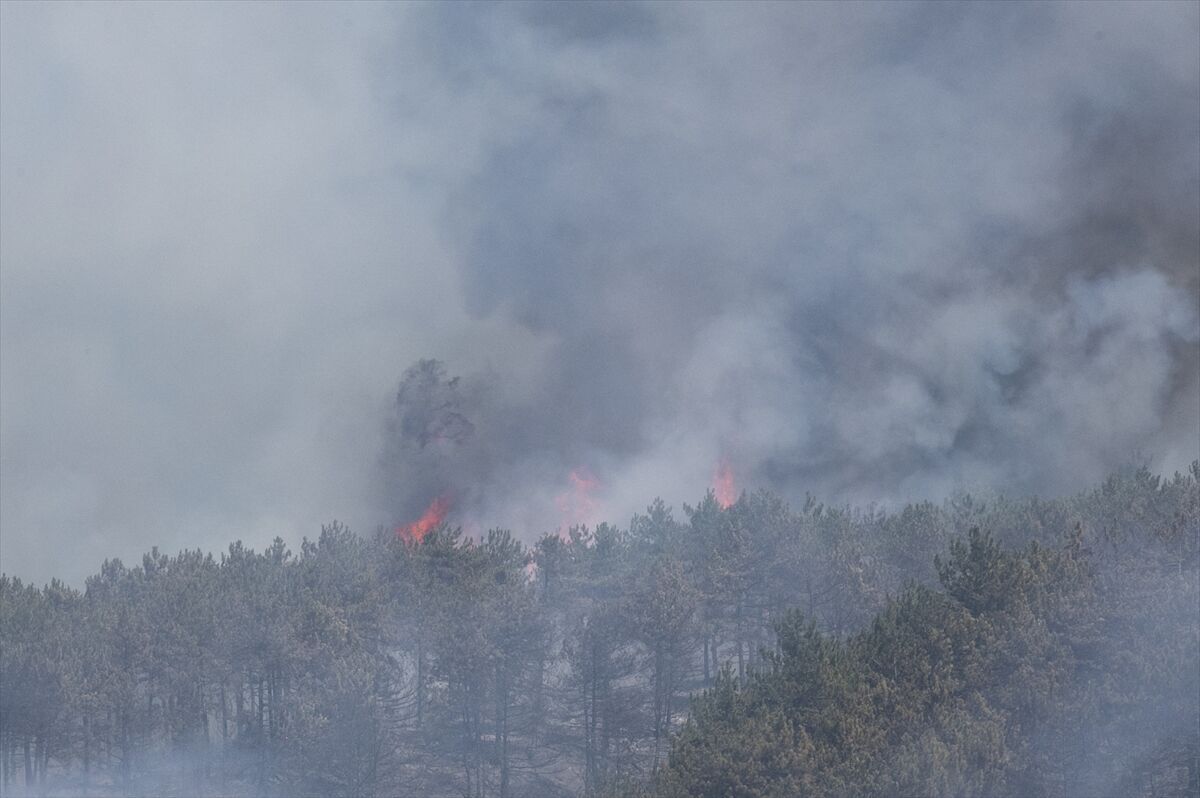 A A 20250811 38802317 38802315 B O L U D A C I K A N O R M A N Y A N G I N I N A M U D A H A L E E D I L I Y O R