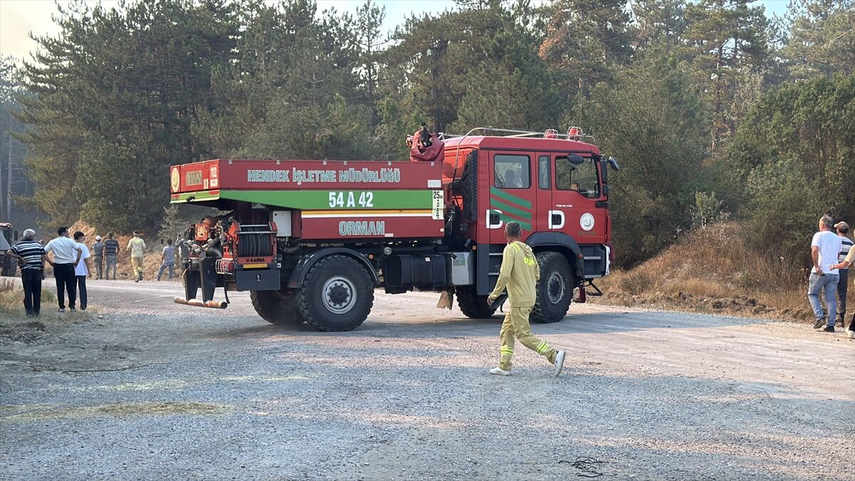 A A 20250811 38802317 38802316 B O L U D A C I K A N O R M A N Y A N G I N I N A M U D A H A L E E D I L I Y O R