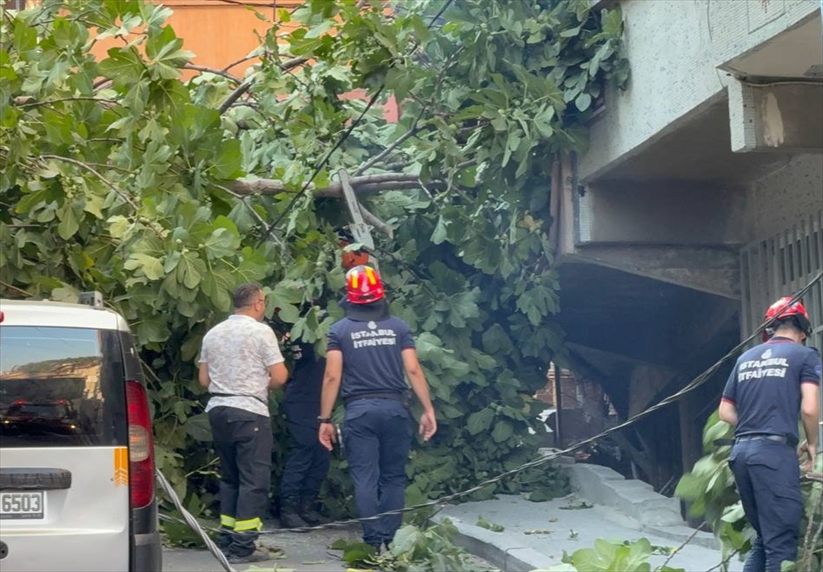 A A 20250811 38802834 38802831 B E Y O G L U N D A D E V R I L E N A G A C L A R 2 A R A C A Z A R A R V E R D I