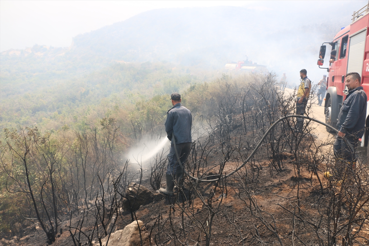 A A 20250813 38821065 38821044 S U R I Y E N I N L A Z K I Y E V E H A M A I L L E R I N D E O R M A N Y A N G I N L A R I C I K T I