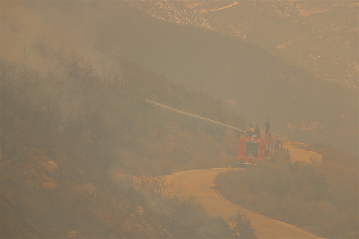 A A 20250813 38821065 38821046 S U R I Y E N I N L A Z K I Y E V E H A M A I L L E R I N D E O R M A N Y A N G I N L A R I C I K T I