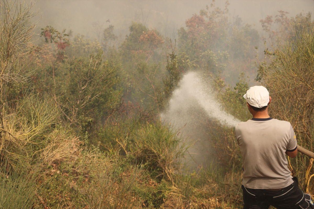 A A 20250813 38821065 38821048 S U R I Y E N I N L A Z K I Y E V E H A M A I L L E R I N D E O R M A N Y A N G I N L A R I C I K T I