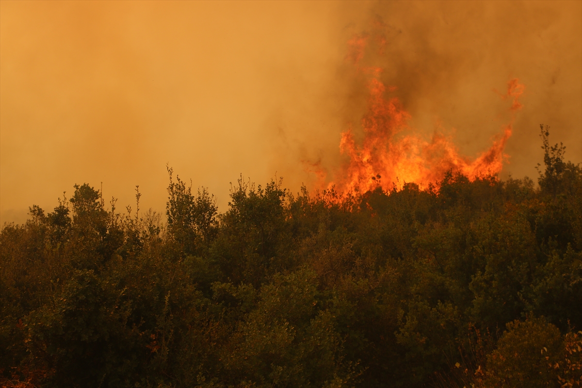 A A 20250813 38821065 38821050 S U R I Y E N I N L A Z K I Y E V E H A M A I L L E R I N D E O R M A N Y A N G I N L A R I C I K T I