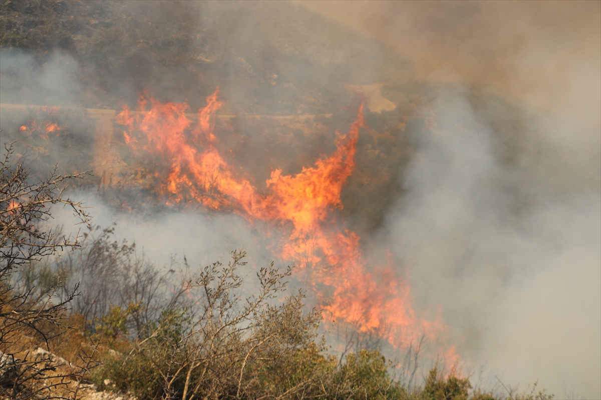 A A 20250813 38821065 38821055 S U R I Y E N I N L A Z K I Y E V E H A M A I L L E R I N D E O R M A N Y A N G I N L A R I C I K T I