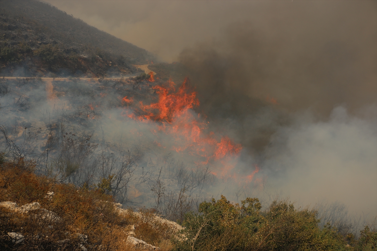 A A 20250813 38821065 38821057 S U R I Y E N I N L A Z K I Y E V E H A M A I L L E R I N D E O R M A N Y A N G I N L A R I C I K T I