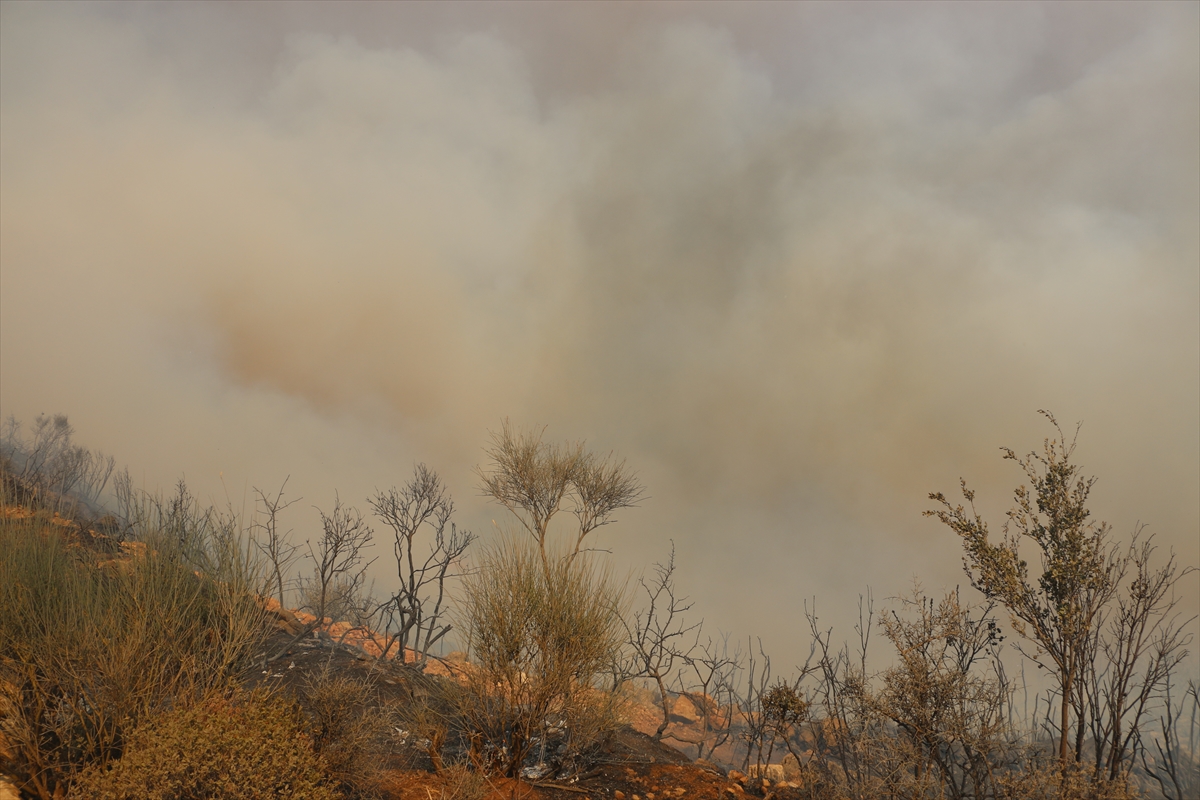 A A 20250813 38821065 38821059 S U R I Y E N I N L A Z K I Y E V E H A M A I L L E R I N D E O R M A N Y A N G I N L A R I C I K T I