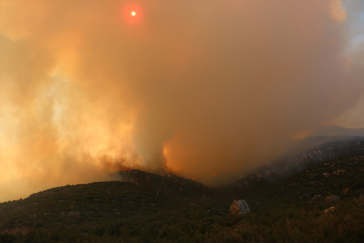 A A 20250813 38821065 38821061 S U R I Y E N I N L A Z K I Y E V E H A M A I L L E R I N D E O R M A N Y A N G I N L A R I C I K T I