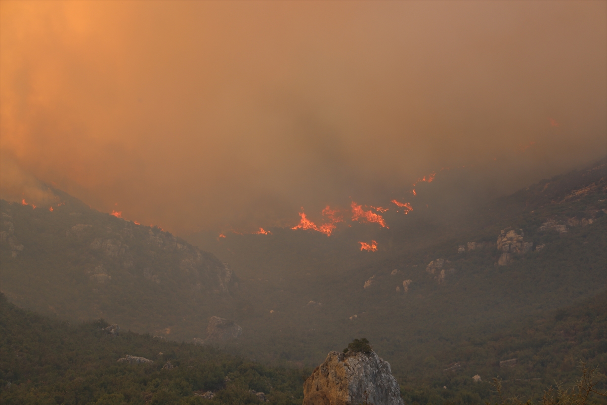 A A 20250813 38821065 38821062 S U R I Y E N I N L A Z K I Y E V E H A M A I L L E R I N D E O R M A N Y A N G I N L A R I C I K T I