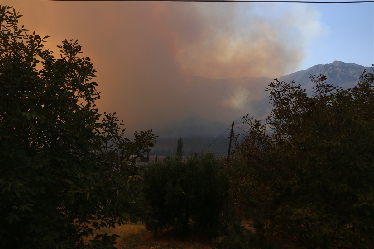 A A 20250813 38821065 38821063 S U R I Y E N I N L A Z K I Y E V E H A M A I L L E R I N D E O R M A N Y A N G I N L A R I C I K T I