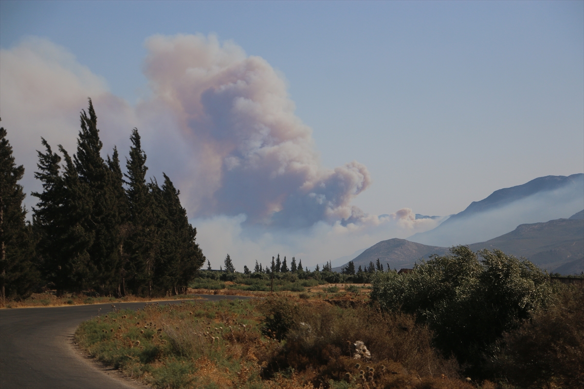 A A 20250813 38821065 38821064 S U R I Y E N I N L A Z K I Y E V E H A M A I L L E R I N D E O R M A N Y A N G I N L A R I C I K T I