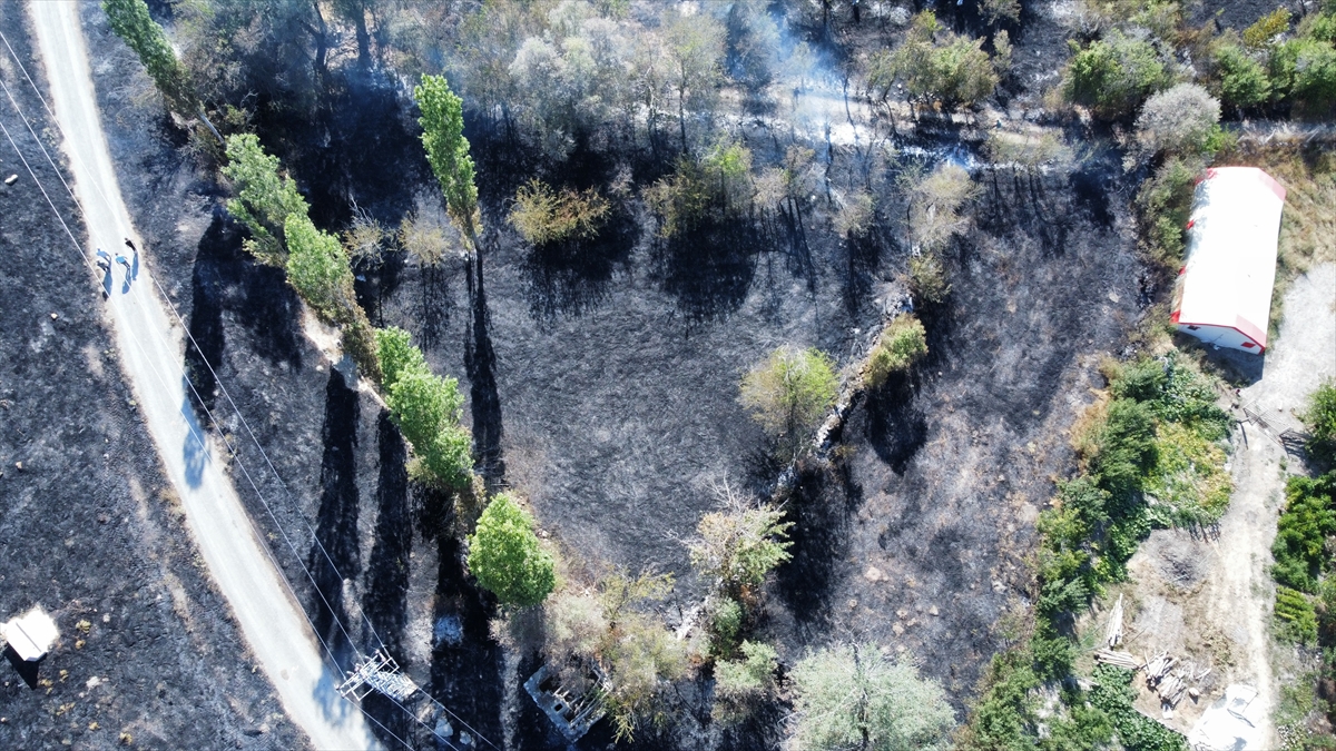 A A 20250814 38831119 38831113 C O R U M D A C I K A N Y A N G I N D A M E Z A R L I K V E 1000 D E K A R A G A C L I K A L A N Z A R A R G O R D U