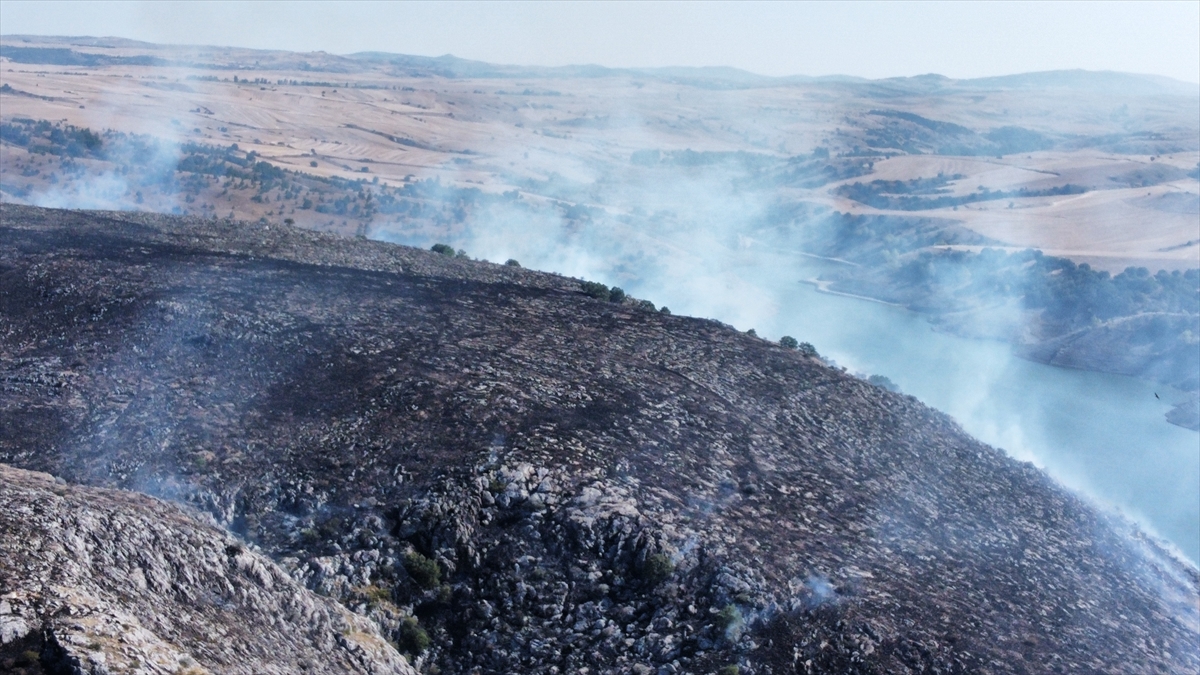 A A 20250814 38831119 38831114 C O R U M D A C I K A N Y A N G I N D A M E Z A R L I K V E 1000 D E K A R A G A C L I K A L A N Z A R A R G O R D U