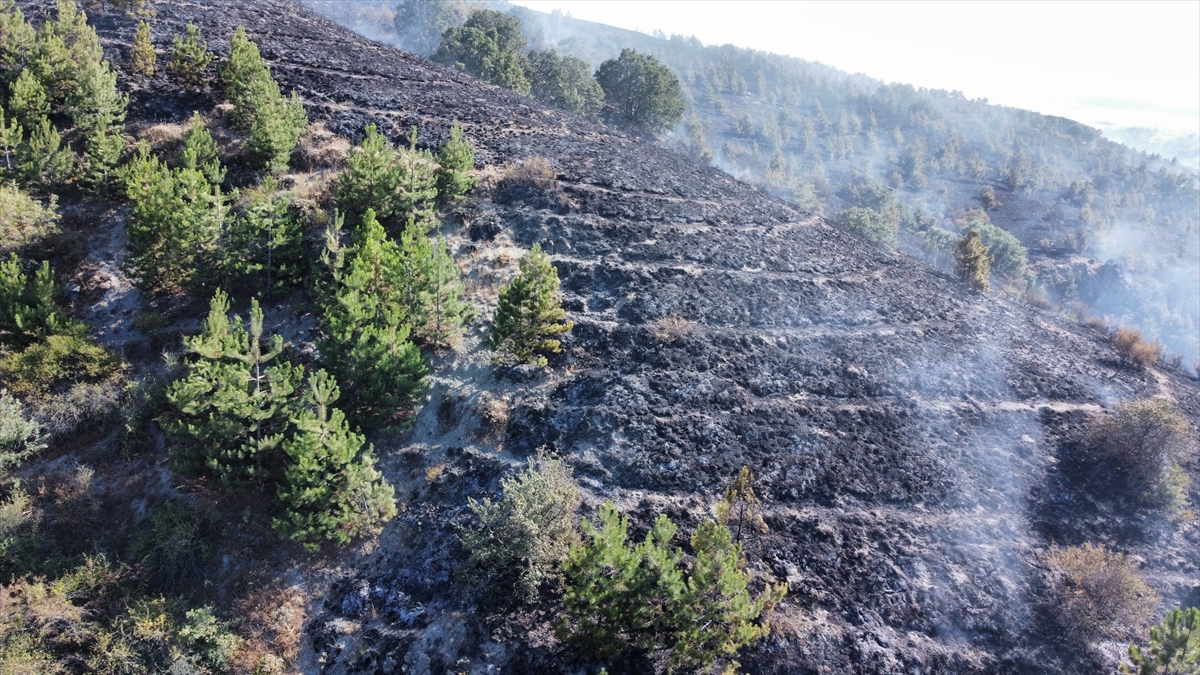 A A 20250814 38831119 38831115 C O R U M D A C I K A N Y A N G I N D A M E Z A R L I K V E 1000 D E K A R A G A C L I K A L A N Z A R A R G O R D U