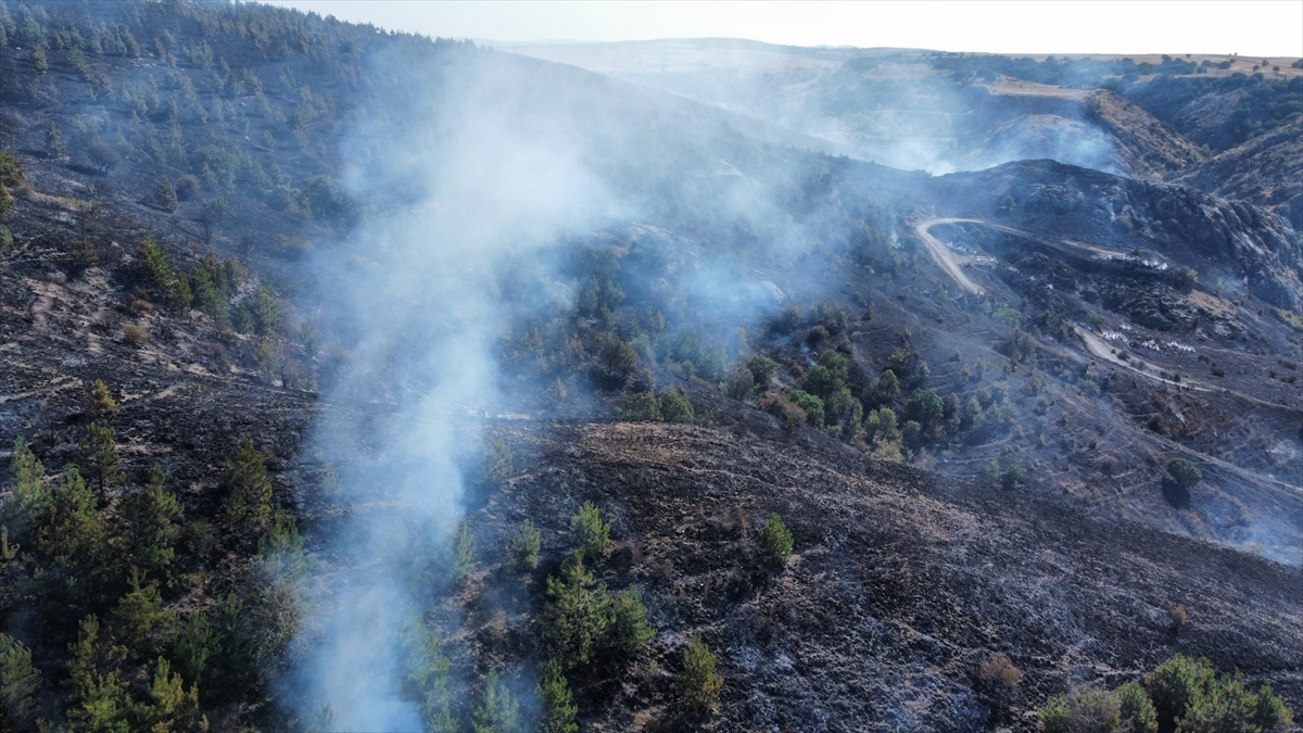 A A 20250814 38831119 38831117 C O R U M D A C I K A N Y A N G I N D A M E Z A R L I K V E 1000 D E K A R A G A C L I K A L A N Z A R A R G O R D U