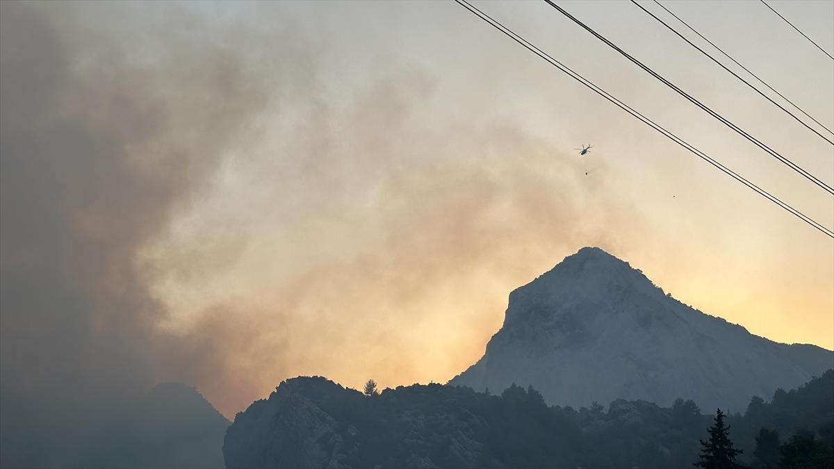 A A 20250814 38831191 38831186 M E R S I N A N A M U R D A O R M A N Y A N G I N I C I K T I