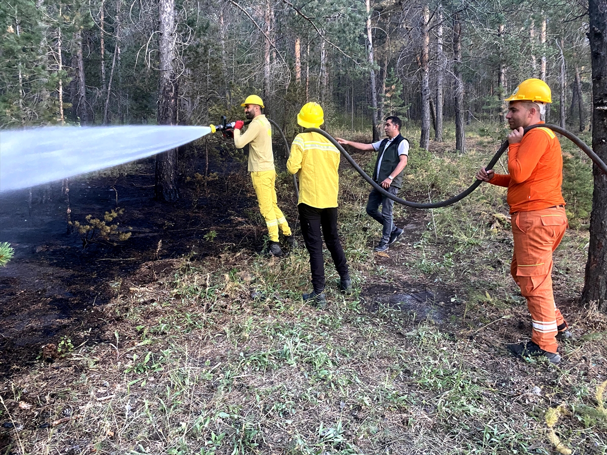 A A 20250814 38831413 38831410 K A R S T A O R M A N L I K A L A N D A C I K A N O R T U Y A N G I N I S O N D U R U L D U