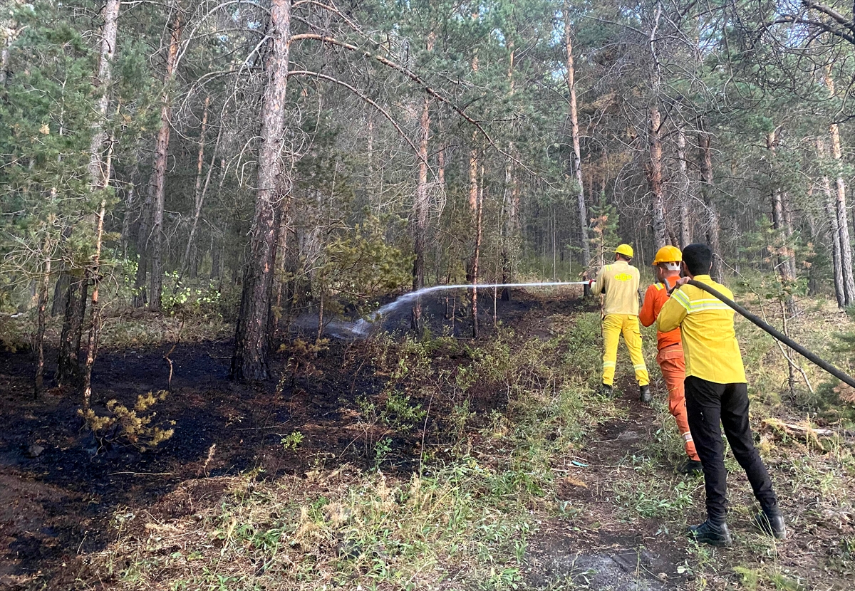 A A 20250814 38831413 38831411 K A R S T A O R M A N L I K A L A N D A C I K A N O R T U Y A N G I N I S O N D U R U L D U