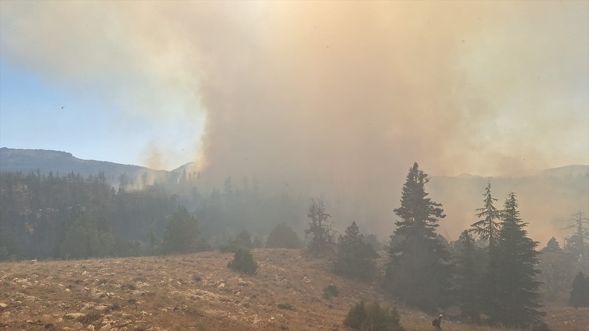 A A 20250815 38838695 38838688 K A R A M A N D A 2 F A R K L I N O K T A D A C I K A N O R M A N Y A N G I N I N A M U D A H A L E E D I L I Y O R